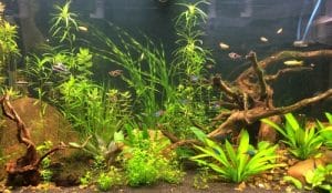 equipment issue