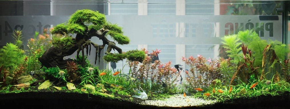 top aquarium water clarifier