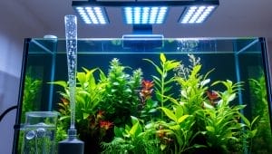 aquarium lighting co2 setup aquarium lighting co2 setup