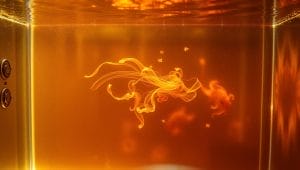 tannins in aquarium water tannins in aquarium water