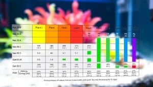 PAR values for aquarium plants PAR values for aquarium plants