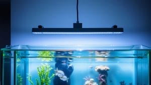 aquarium energy efficient lighting