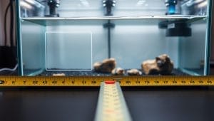 aquarium setup measurements