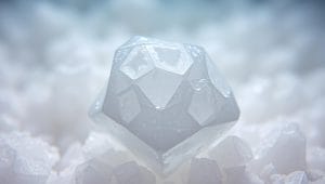 salt parasite control