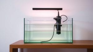 aquarium filter heater setup