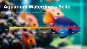 aquarium hardness scale aquarium hardness scale
