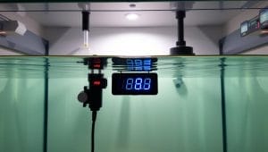 aquarium water temperature control