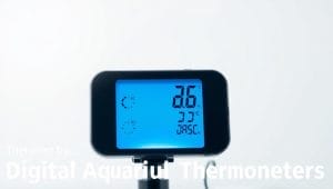 digital aquarium thermometer features digital aquarium thermometer features