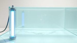 aquarium water clarity system aquarium water clarity system