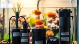 optimizing aquarium equipment longevity