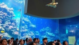 aquarium conservation biology