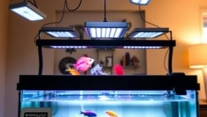 aquarium lighting setup