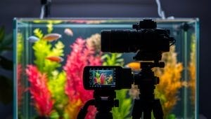 aquarium setup for photography
