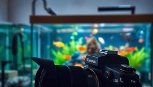 dslr camera settings for aquarium photography