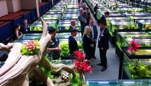 aquascaping contest exhibition